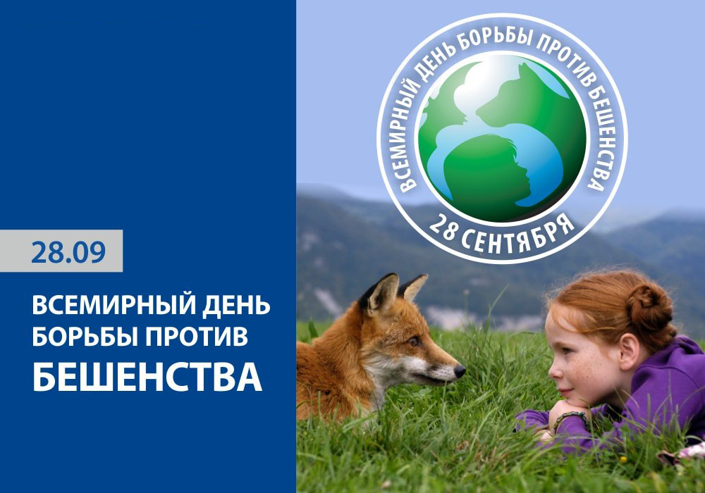 Бешенство: диагностика, профилактика, ответственность
