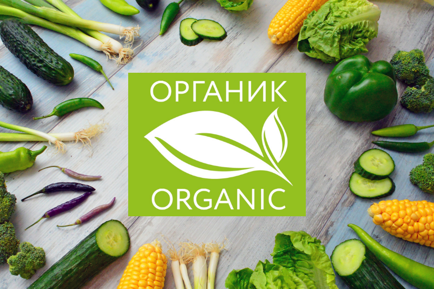 Учреждение выступило с предложением в сфере производства органической продукции
