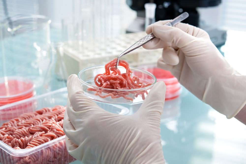 В образцах пищевой продукции выявлены опасные бактерии