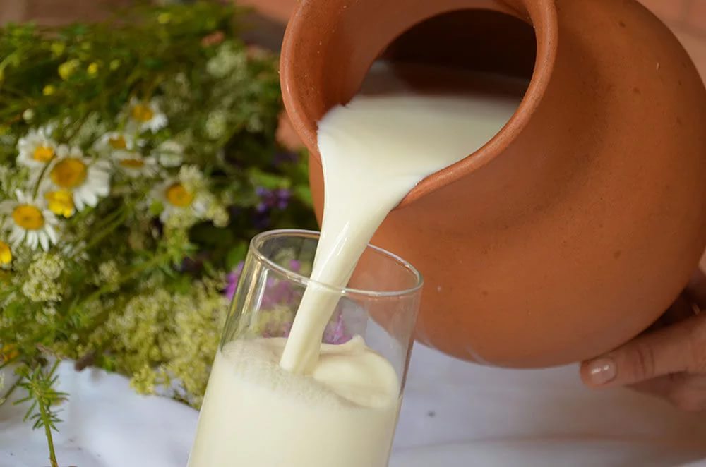 В питьевом молоке специалистами лаборатории выявлены антибиотики