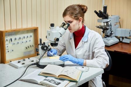 Более 37 тысяч  заключений и протоколов о фитосанитарном состоянии подкарантинной продукции выдано специалистами отдела карантина растений в 2021 году