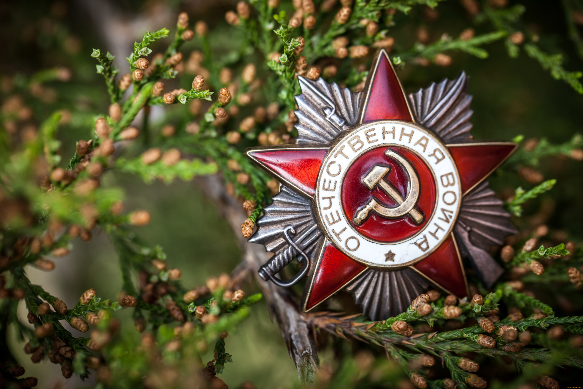 С Днем Победы!