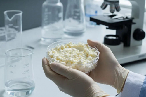 Запрещенный фермент выявлен специалистами лаборатории в молочной продукции 
