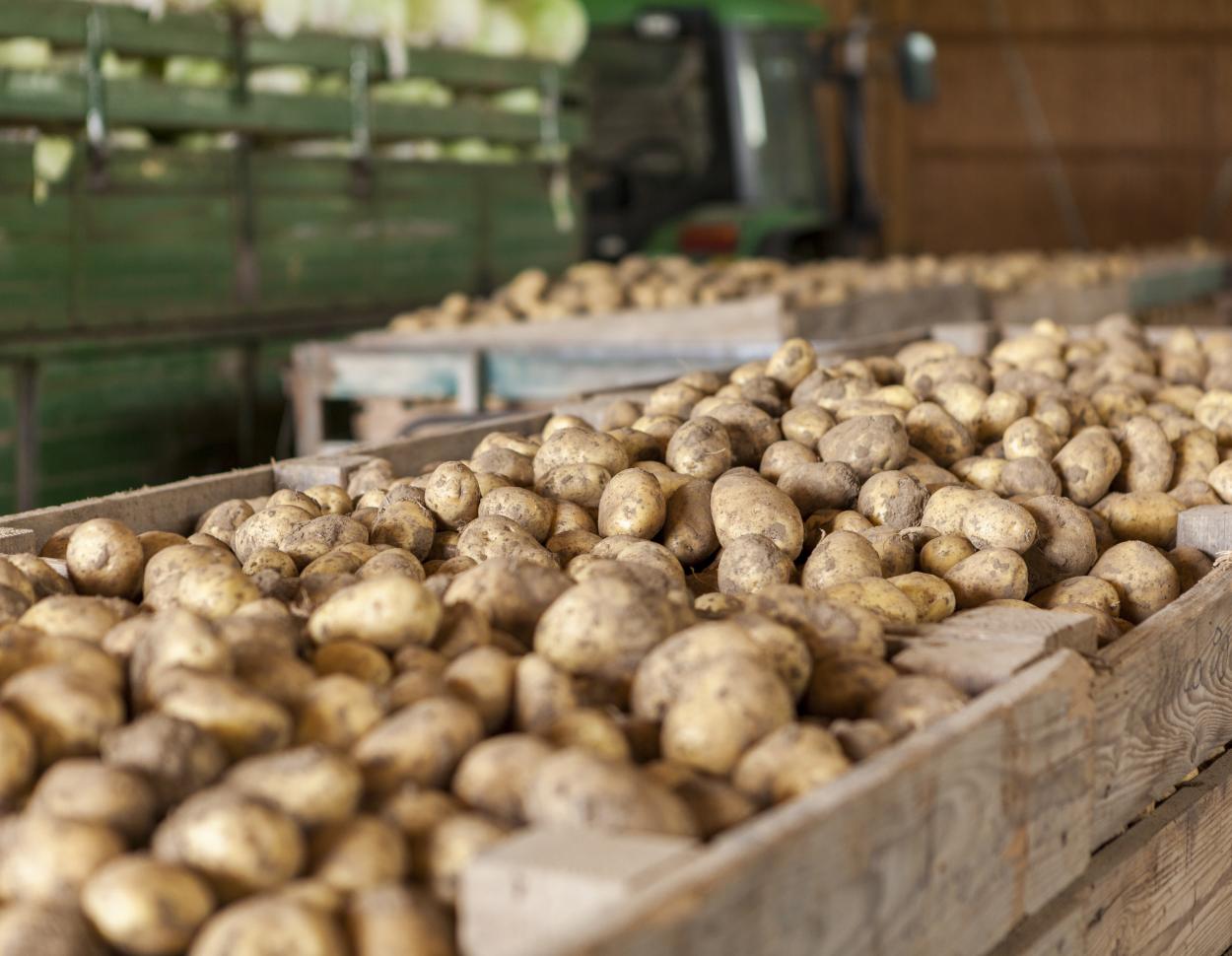 Вологодский отдел проводит исследования растительной продукции из Республики Беларусь